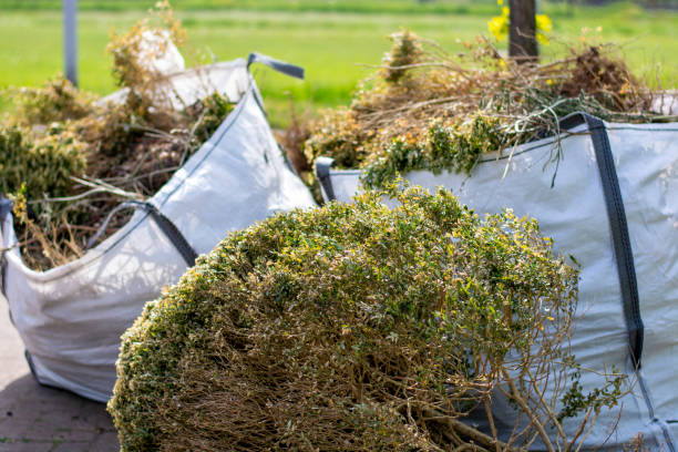 Best Construction Debris Removal  in Clay, CA